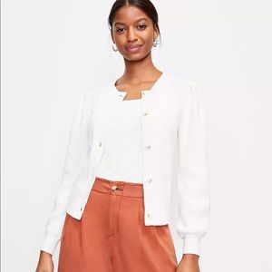 Loft Draped Sleeve Cardigan